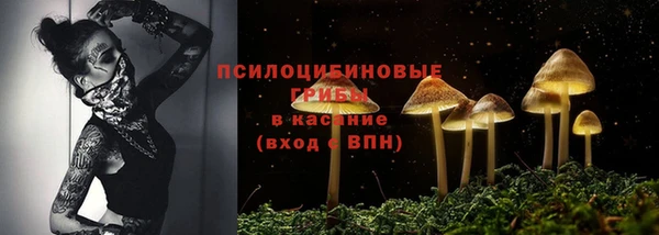 мдма Лагань